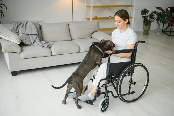 Young woman in wheelchair with service dog at home - Фото, зображення