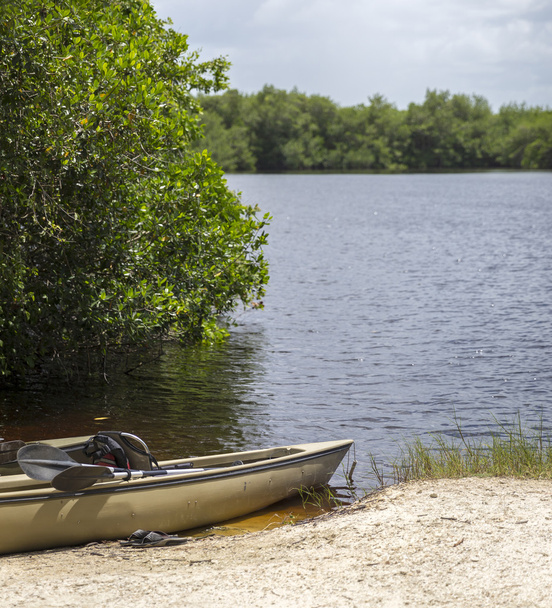 Kayaks in Everglades national park, Florida, USA - Photo, Image