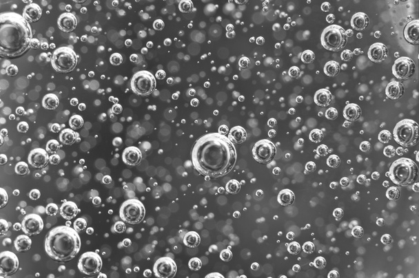 Air bubbles in water. Abstract black-and-white background. Macro - Fotografie, Obrázek