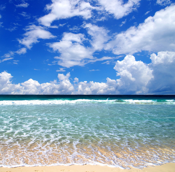 Beach and tropical sea - Photo, Image