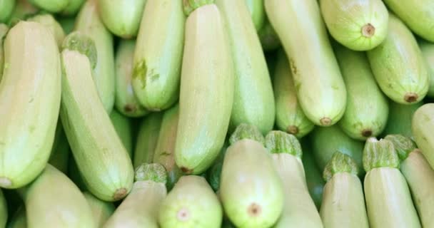 Viele grüne Zucchini auf der Theke des Lebensmittelmarktes. Vegetarisches Ernährungs- und Gesundheitskonzept - Filmmaterial, Video