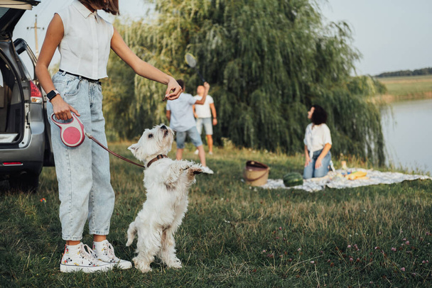 Teenagermädchen spielt mit West Highland White Terrier Dog vor dem Hintergrund ihrer Familie beim Picknick im Freien am See - Foto, Bild