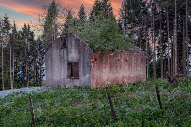 Tájkép elhagyott ház közepén a hegyi erdő - Fotó, kép
