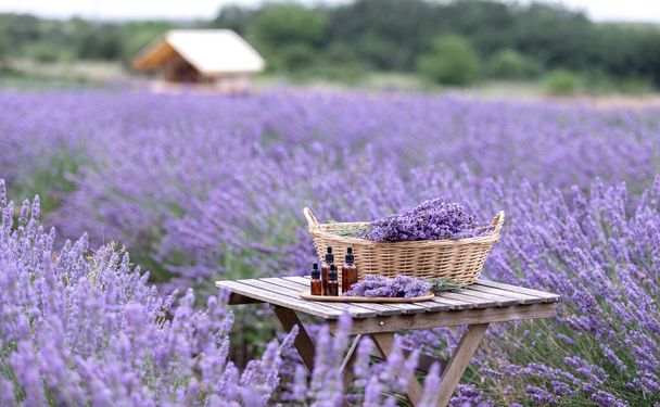 Botella de aceite esencial de lavanda ámbar. Campo de lavendar violeta en Provenza - Foto, Imagen