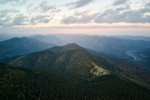 Aerial view of foggy evening over high peak with dark pine forest trees at bright sunset. Amazingl scenery of wild mountain woodland at dusk. - Zdjęcie, obraz
