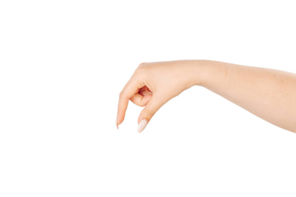 El gesto de la mano de una mujer, muestra la medida. Aislado sobre fondo blanco. - Foto, imagen