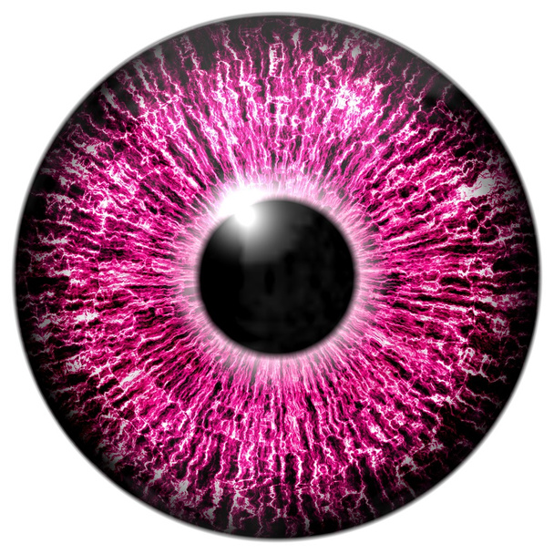 purpurové oko - Fotografie, Obrázek