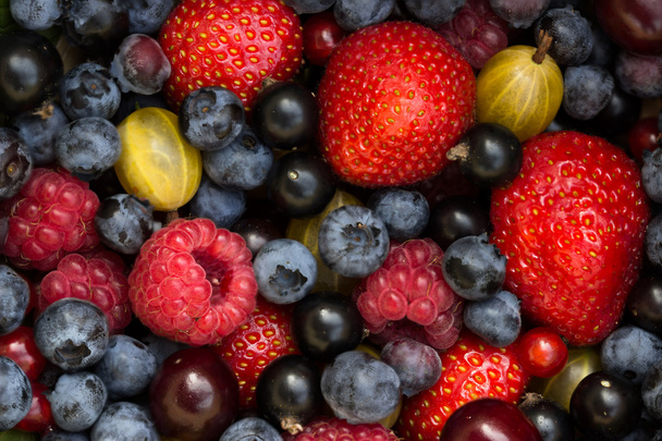 Fresh berries - Фото, зображення