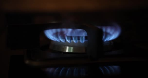 Горящий голубой газ на печи и газовой горелке. Газовый кризис и рост цен - Кадры, видео