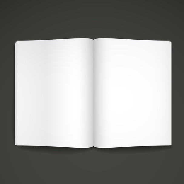 blank open book - Vektori, kuva
