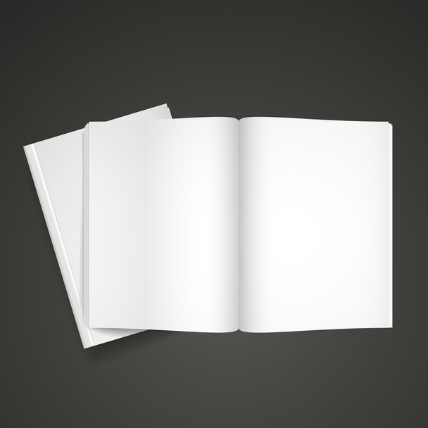 blank open book  - Vektor, obrázek