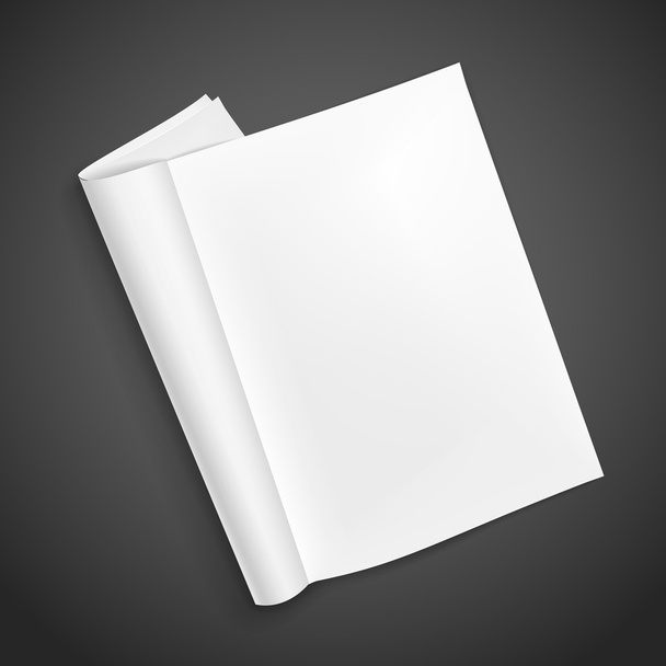 Libro abierto en blanco  - Vector, imagen
