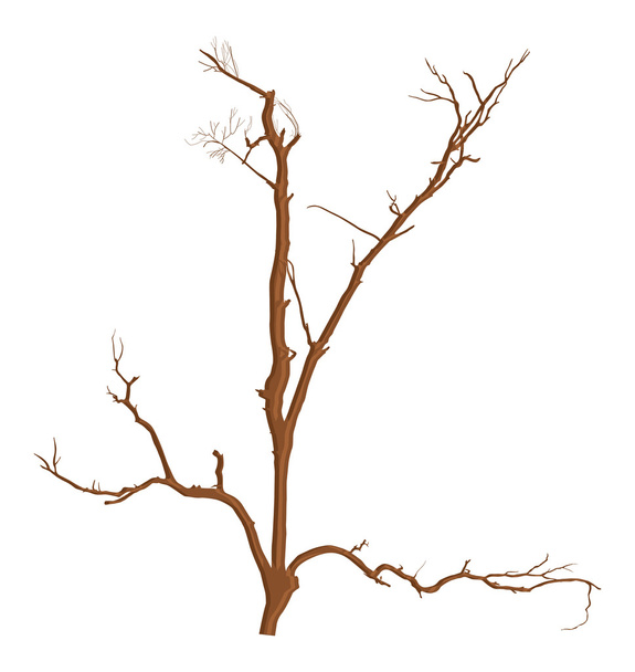 抽象的な乾燥死んだ木の枝デザイン - ベクター画像