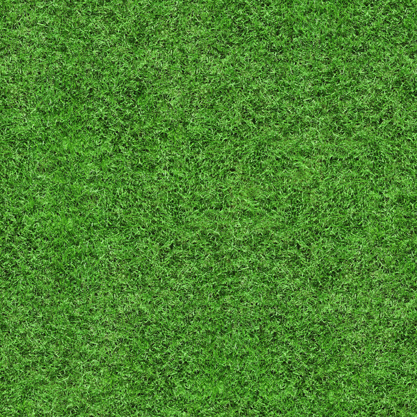 Textura de hierba - Sin costura
 - Foto, Imagen
