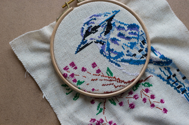 Hoop işlemeli mavi kuş - Fotoğraf, Görsel