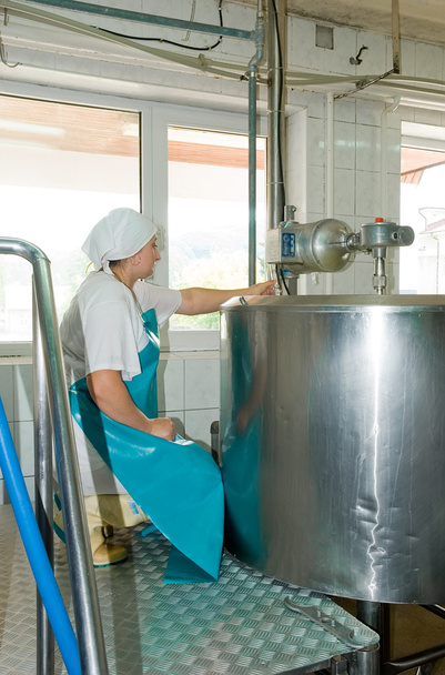 Dairy Worker in a milk shop - Fotó, kép