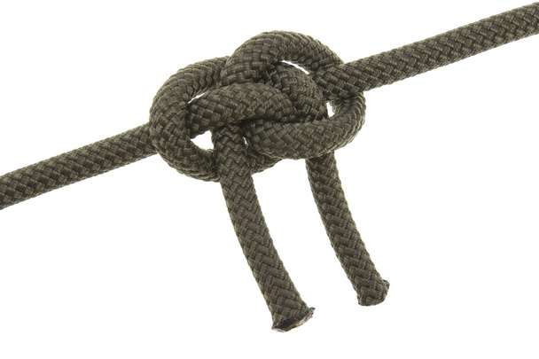 Liana knot - Photo, Image