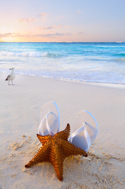 Chanclas de arte y estrellas de mar en una playa tropical
  - Foto, Imagen