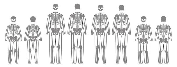 Set of Skeleton costume Human bones with scull front back view men women, children - boy, girl for clothes for Day of the dead flat black color concept Vector illustration of anatomy isolated - Vector, Image