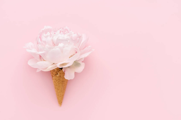 Pivoine rose en cône de crème glacée gaufre sur fond rose. Fête des Mères, Saint Valentin, célibataire, concept d'été. Vue du dessus, espace de copie - Photo, image