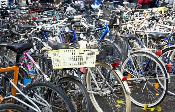 bicicletas - Foto, imagen
