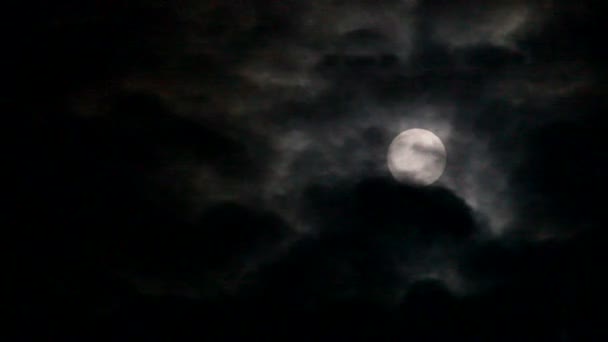 Luna llena - Imágenes, Vídeo