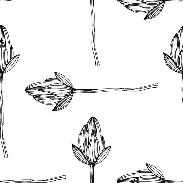 Wildflower lotus flower pattern in a one line style. Outline of the plant: Black and white engraved ink art lotos. Sketch wild flower for background, texture, wrapper pattern, frame or border. - Vector, Imagen