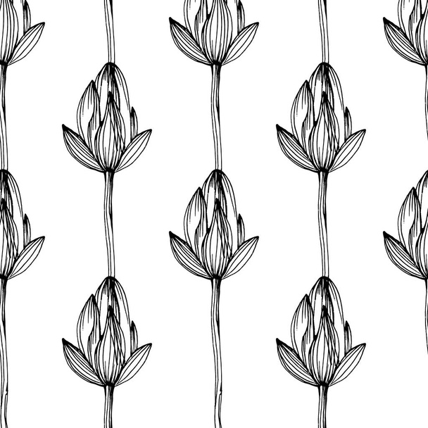 Wildflower lotus flower pattern in a one line style. Outline of the plant: Black and white engraved ink art lotos. Sketch wild flower for background, texture, wrapper pattern, frame or border. - Vektor, obrázek