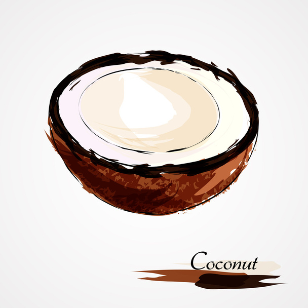 Coconut - Vector, Image