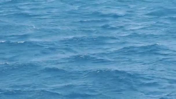 Mar rojo azul
 - Metraje, vídeo