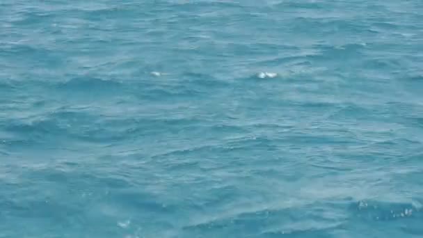 Mer Rouge bleue
 - Séquence, vidéo