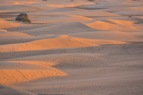 Пустеля з піщаними дюнами в Маспаломас - Ґран - Канарія (Іспанія). - Фото, зображення
