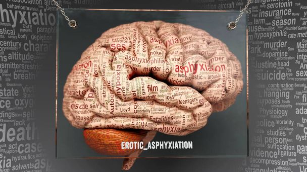Erótico no cérebro humano dezenas de termos importantes que descrevem propriedades eróticas e características pintadas sobre o córtex cerebral para simbolizar a conexão erótica com a mente., ilustração 3d - Foto, Imagem