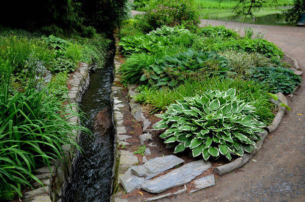 a garden of a shady nature by a stream flowing into a paved stream flowing through a bed of perennials. undergrowth perennials into a wet spring. rocky outcrop with ferns - Photo, Image