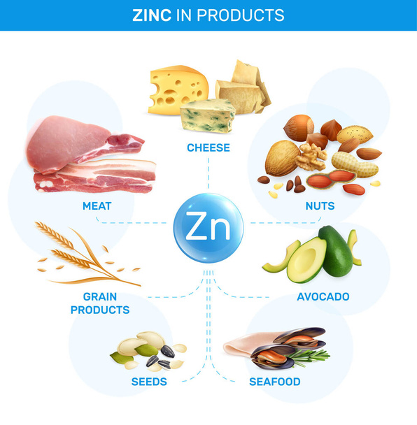 Zink infographics with flowchart of isolated realistic images with grain seeds seafood cheese meat and nuts vector illustration - Vector, Image