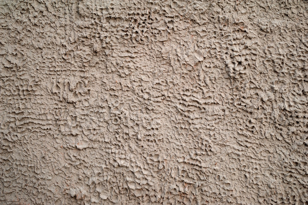 Texture of old wall covered with gray stucco - Fotografie, Obrázek