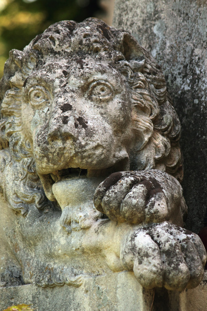 socha lva jako symbol síly a velikosti - Fotografie, Obrázek