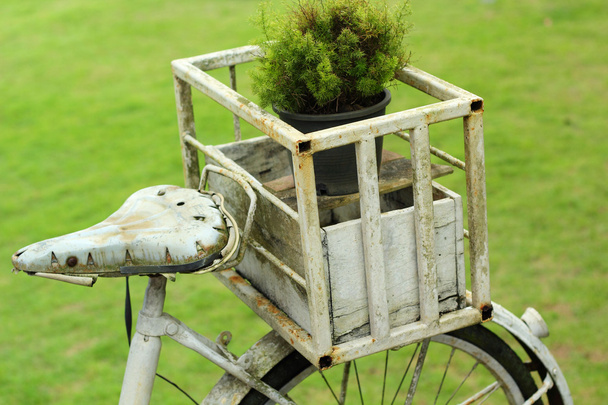 Oldtimer-Fahrrad im Garten - Foto, Bild