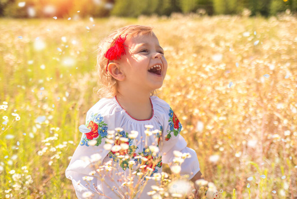 Papatya tarlasında işlenmiş gömlekli mutlu bir Ukraynalı beyaz kız. Taşrada. Gün batımında büyüleyici doğa geçmişi. Yaz konsepti - Fotoğraf, Görsel