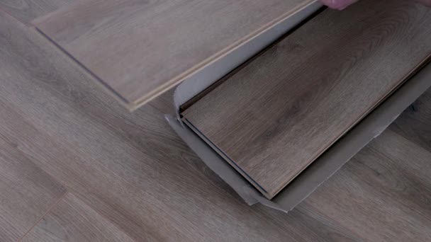 Der neue Fußbodenlaminat in den Händen, Holzbodenmuster aus Laminat. Holz, Laminatboden. - Filmmaterial, Video