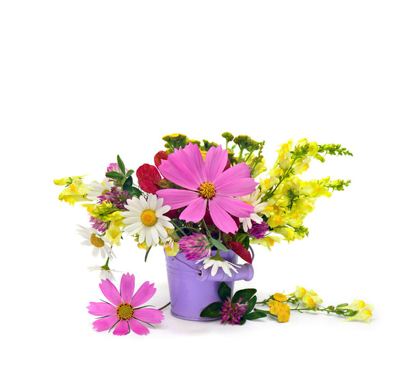 Wildflowers summer, pink flowers cosmos, white chamomile, yellow linaria, red samaras maple ash in small violet bucket on white background with space for text - Photo, Image