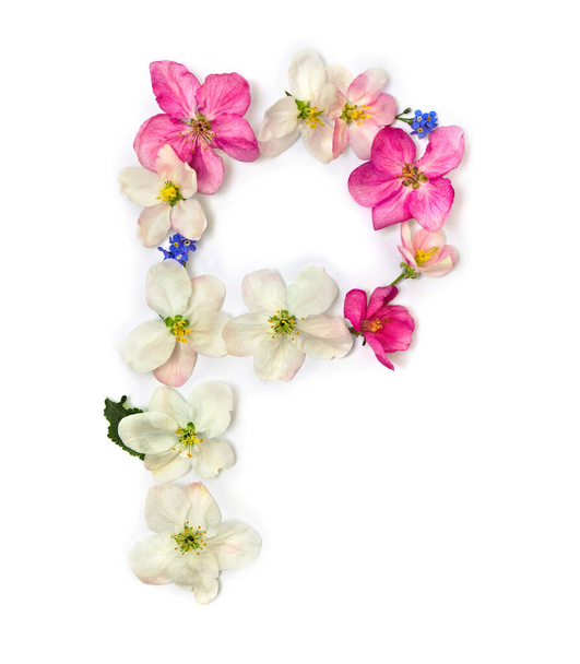 Letter P of flowers apple tree and blue wildflowers forget-me-nots on white background. Top view, flat lay - Photo, Image