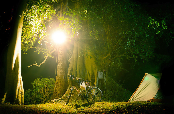 Gece kamp yarış bisiklet - Fotoğraf, Görsel