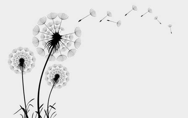 A vector design of blowing dandelion buds in black isolated on a white background - Vektor, kép