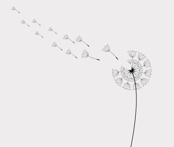 A vector design of blowing dandelion buds in black isolated on a white background - Vektör, Görsel