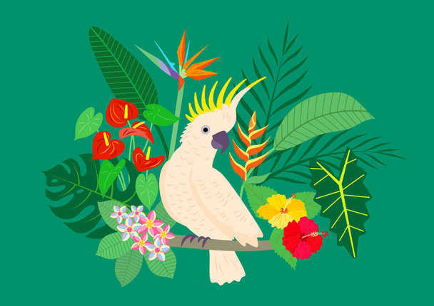 Kakadu papağanı, tropikal bitkiler arasında parlak çiçekli bir dalda. Renkli bir illüstrasyon.. - Vektör, Görsel