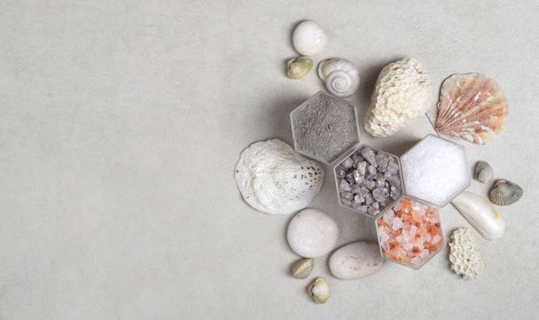Raw materials for spa treatments. Sea minerals, salt, clay, algae and shells - Fotoğraf, Görsel