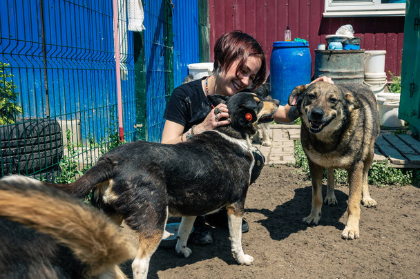 Kutya a menhelyen. Az állatmenhely önkéntese gondoskodik a kutyákról. Magányos kutyák ketrecben vidám női önkéntessel.  - Fotó, kép