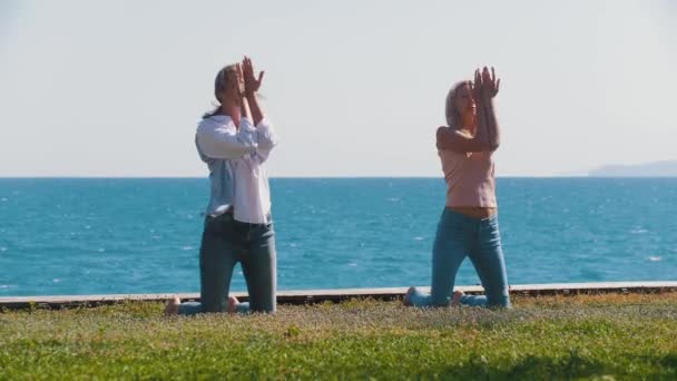 海のそばで草の上で簡単な体操をしている二人の女性。ミッドショット - 映像、動画