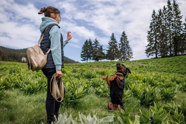 Cheerful attentive strict teenage girl in suit stands and gives commands to her big obedient trained friend dog of Rottweiler breed, on green meadow with mountain vegetation - Foto, Imagen